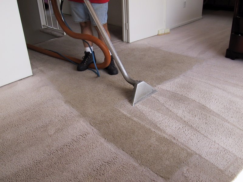 do carpet cleaners make money